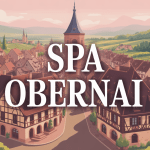 vue aerienne ville alsacienne spa obernai