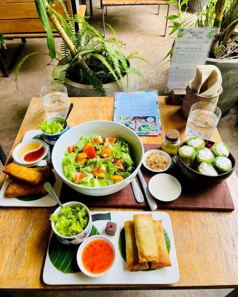 aventure Wild commence