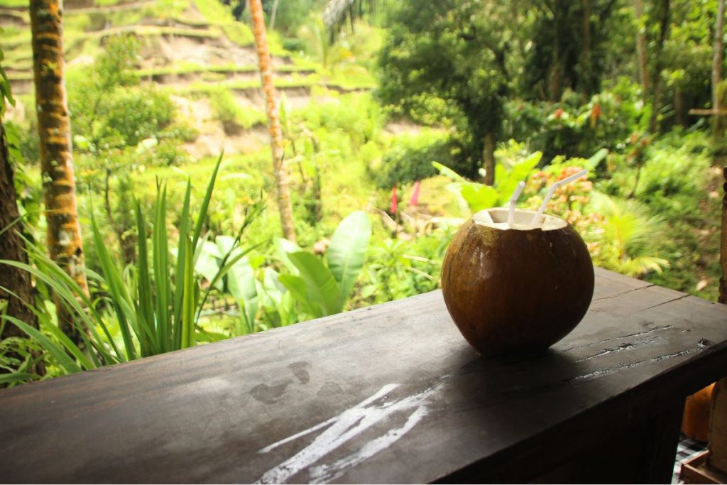 bar-restaurant au Cambodge