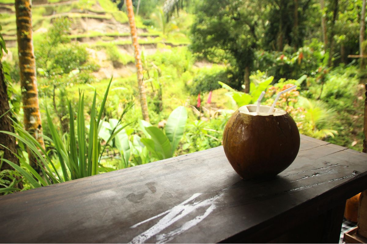 bar-restaurant au Cambodge