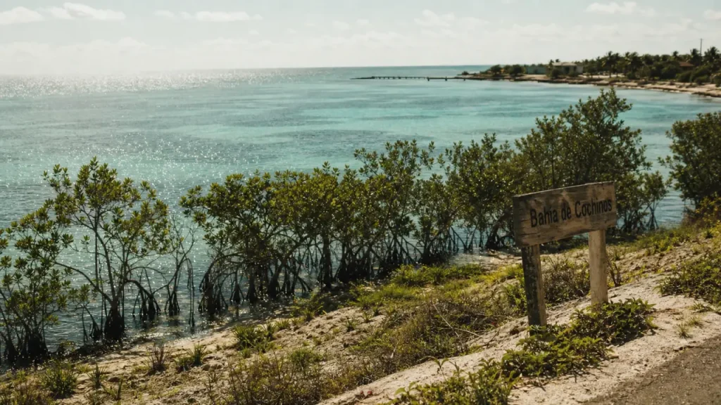 La baie des Cochons à Cuba : un nom trompeur, une baie réelle et le débarquement de 1961
